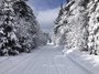 Snowmobile trail in Wisconsin